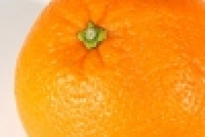 Produce From Israel: Update #1 Jaffa Oranges Title Image