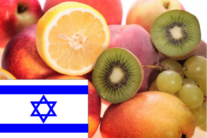 Video Instructional: Tithing Produce From The Land Of Israel: Terumot And Maaserot Title Image