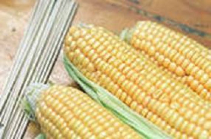 Information Regarding Corn On The Cob Title Image