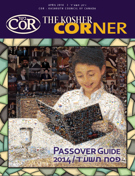 Cor Passover Guide 2014 Title Image