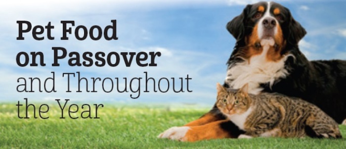 Pet Food On Passover And Throughout The Year Title Image