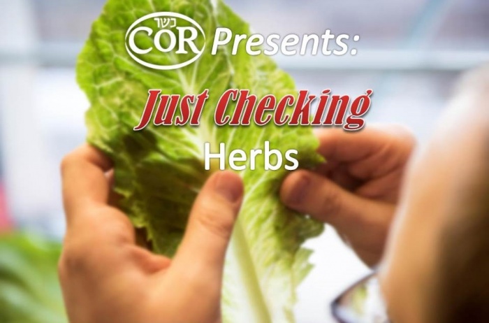Just Checking: How To Clean & Check Herbs (video) Title Image