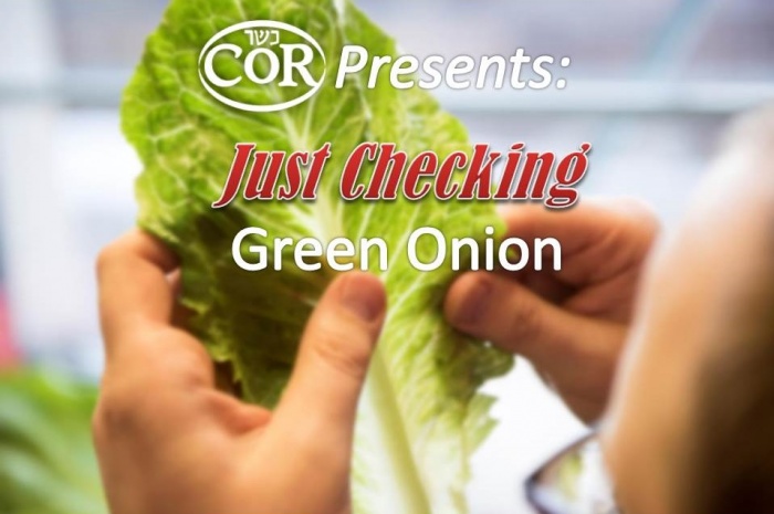 Just Checking: How To Clean & Check Green Onions (video) Title Image