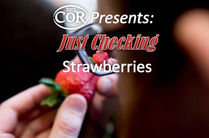 Just Checking: How To Clean & Check Strawberries (video) Title Image