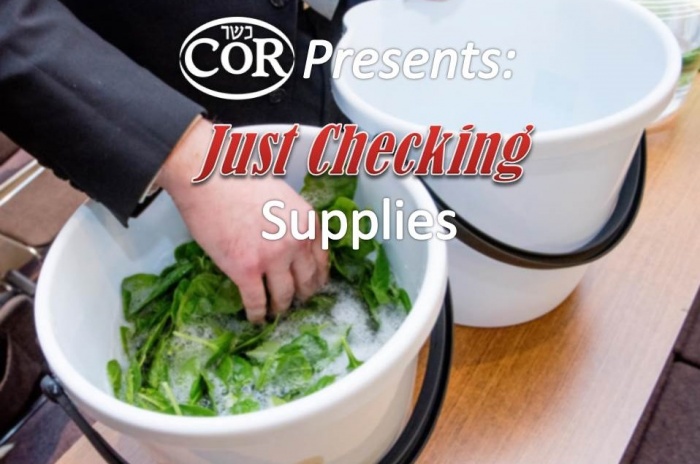 Just Checking: Supplies (video) Title Image