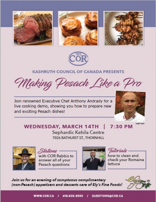 "making Pesach Like A Pro" Toronto Community Event March 14, 2018 Title Image