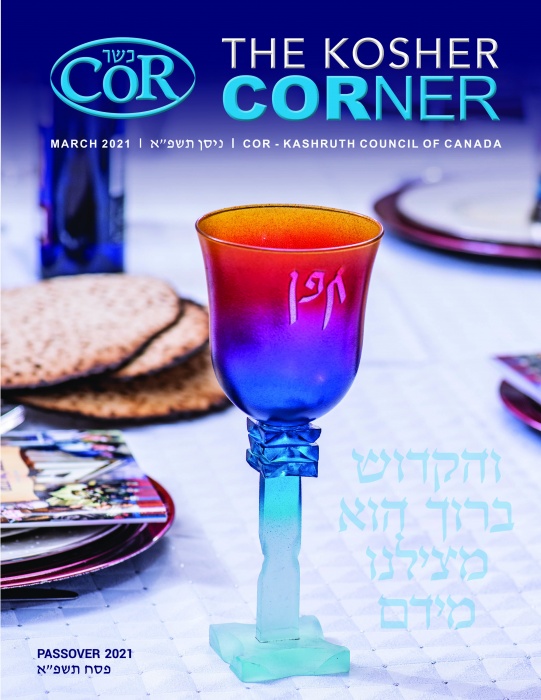 Cor Passover Magazine 2021/5781 Title Image