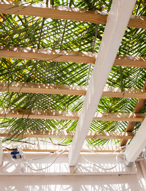 Succah