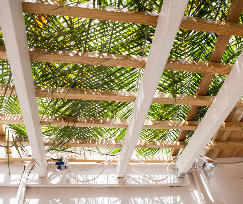 Succah